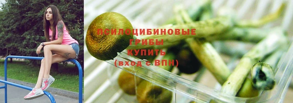 стаф Киренск