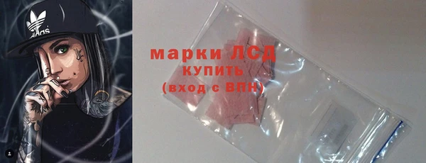 стаф Киренск