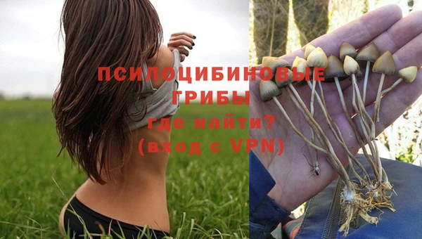 стаф Киренск