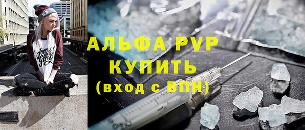 стаф Киренск