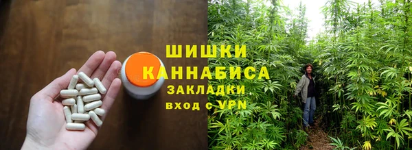стаф Киренск