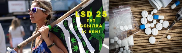 стаф Киренск