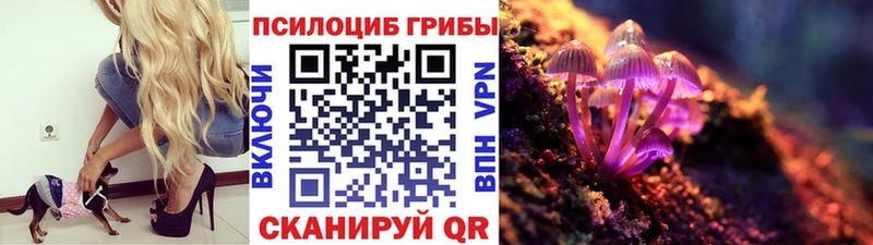 Псилоцибиновые грибы мухоморы  Купить  Саров 
